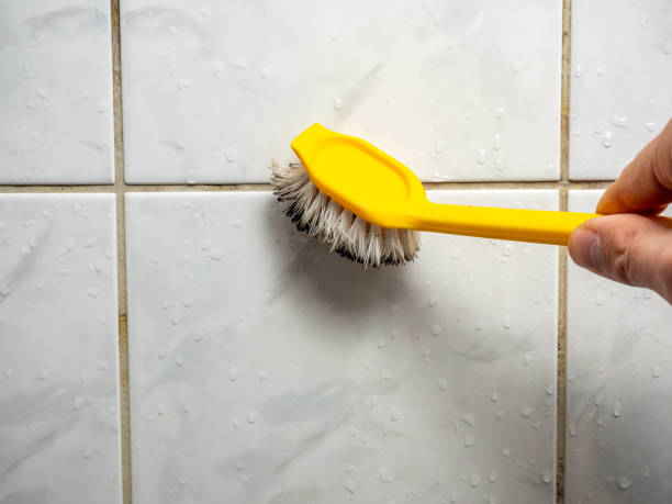 Best Best Mold Removal Companies  in Atkinson, IL
