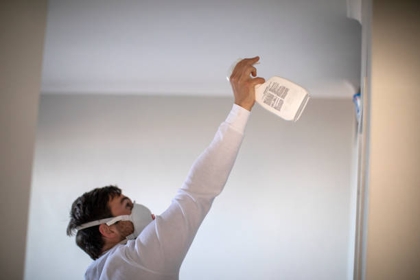 Best Toxic Mold Removal  in Atkinson, IL