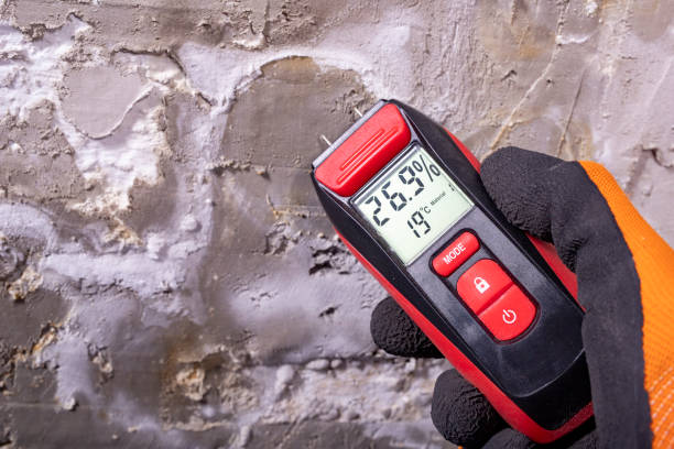 Best Mold Remediation Services  in Atkinson, IL