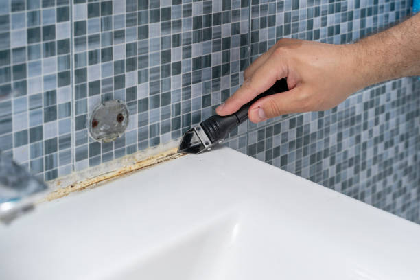 Trusted Atkinson, IL Mold Removal Experts
